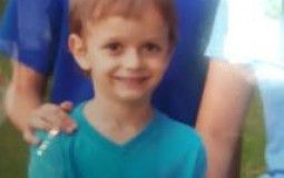 Furry Hunter Weapons