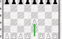 Chess First Moves