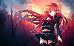 Vote for the best Waifu