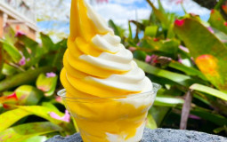 Magic Kingdom Quick Services