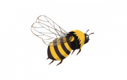 Books I've Read This Year