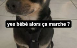 Tier list haram détraqué