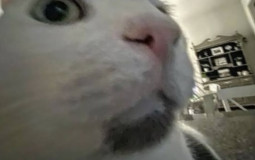 RAnking friends confessions