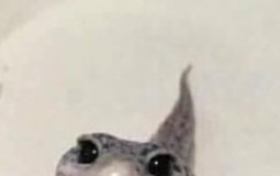 jtaume