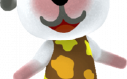 pousi