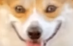 Programmiersprachen RANKING aber fair und toll lololol