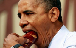 Discord Status and About Me