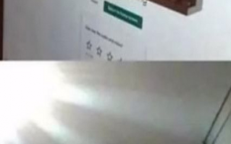 NAJBARDZIEJ LENIWE I OPIERDALAJACE SIE NOBKI