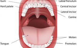 Girl Scout cookies :)
