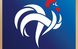 Meilleurs joueurs de l'équipe de France