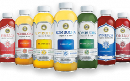 GT Brand Kombucha Flavors