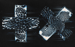 Martin garrix sentio