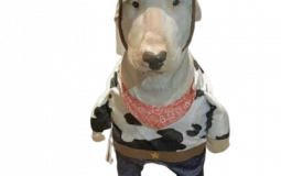 Weetad cord