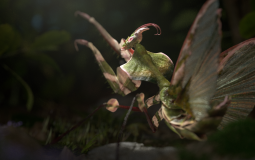3D1C