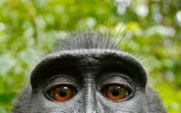 Películas de Terror