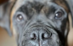 FAV PEOPLE IN THE SERVER