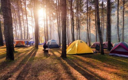 COMISIONES CAMPAMENTO 2022