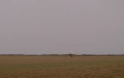 Ranking Szaenke Hangouts