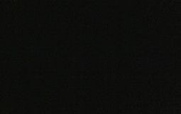 videogame adaptations y