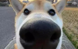 Friend group ranking