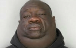 Les animaux de discord