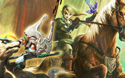 Twilight Princess Items