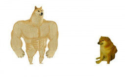 ьыъ