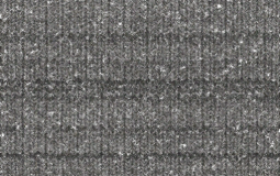 celebrities ranked based on how cute they are