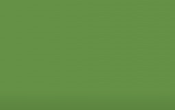 Countries in Asia Ranking