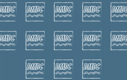 CHI SARA' ELETTO PARLAMENTARE?