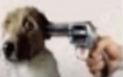 Тир лист участников 6-Б класса Харьковского Лицея №89