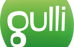 Gulli 3