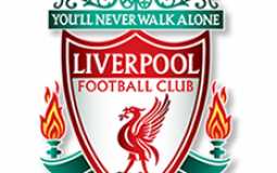 Liverpool signings since Jan 2011