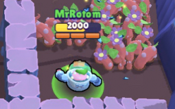 Brawlers That Can Counter Sprout Behind a Wall