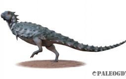 2022 NEW Dinosaur Species