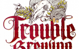 blood on the clocktower trouble brewing
