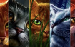 Warrior Cats Books