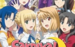 Best Fate Servant