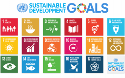 SDG Goal Ranks