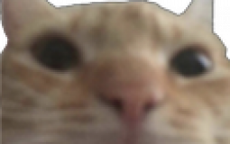 esoup's Ahegao Lounge Tier List