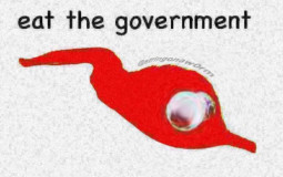 when do they wake up?