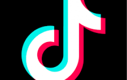 The Best Tik Tok Category
