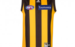 Hawthorn Guernseys