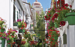 Bares de Estepona