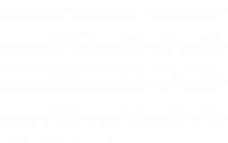 List Item Importance