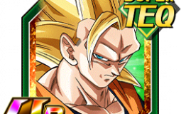 Dokkan Battle SBR Teq