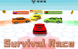 Survival Race