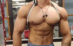 Shiraz Baig Family Tier List