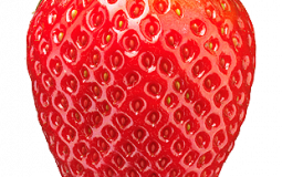 les fruits et legumes