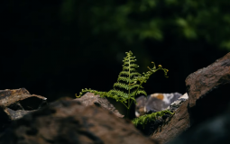 Motok Ultime 2 thousand 3